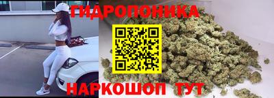 гашик Чапаевск