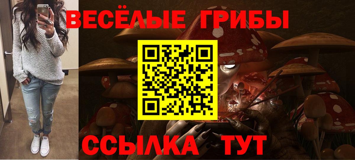 Псилоцибиновые грибы прущие грибы Советский